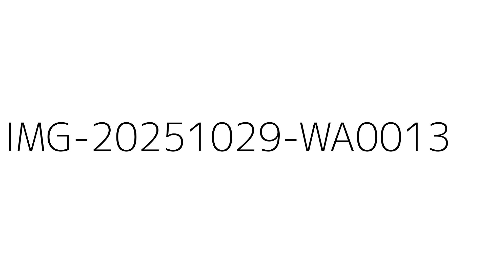 IMG-20251029-WA0013