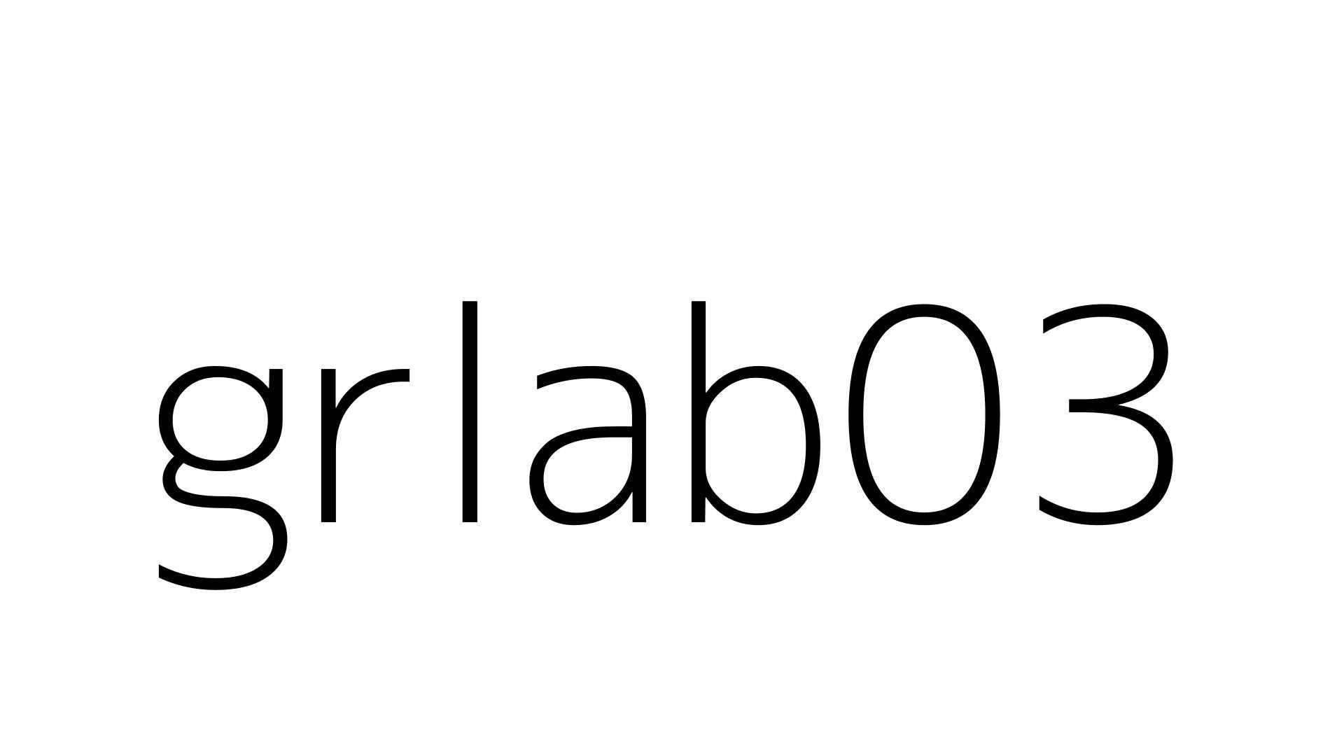 grlab03