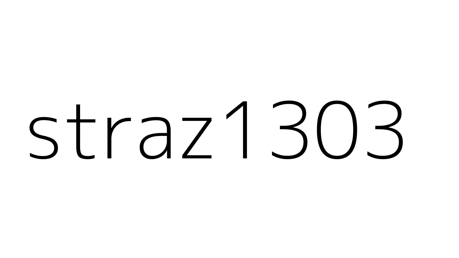 straz1303