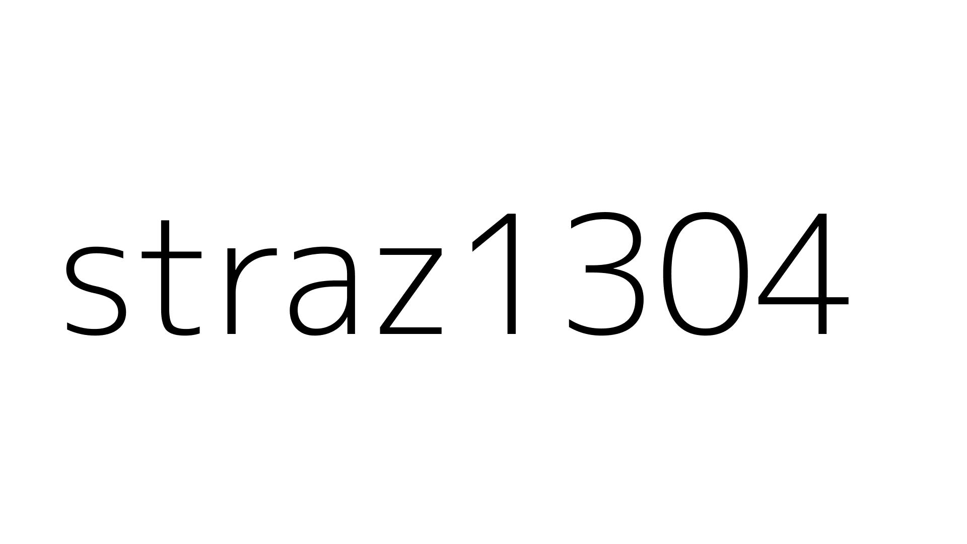 straz1304