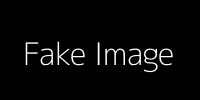 Fake Image