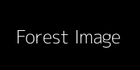 Forest Image