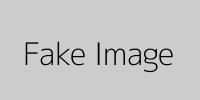 Fake Image
