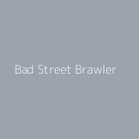 Bad Street Brawler