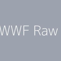 WWF Raw
