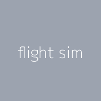 flight sim
