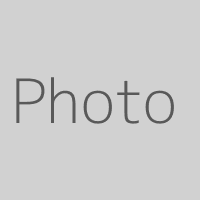 {{ $member->name }}