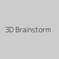3D Brainstorm