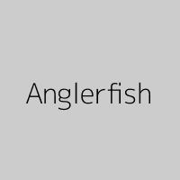 Anglerfish