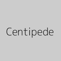 Centipede