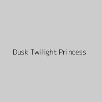Dusk Twilight Princess