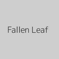 Fallen Leaf