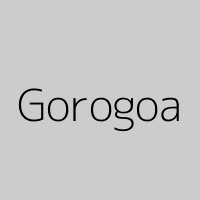 Gorogoa