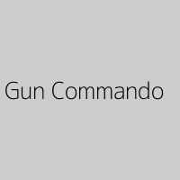 Gun Commando