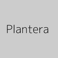 Plantera