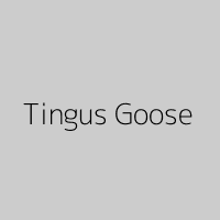Tingus Goose
