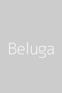 Водка Белуга