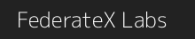 FederateX Labs logo