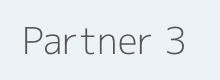 Partner 3