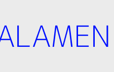 Agence immobiliere alamen