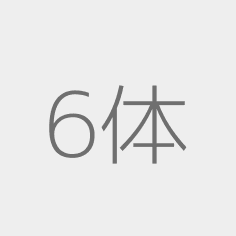 6686 体育