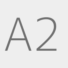 Ace 291