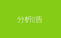 分析报告