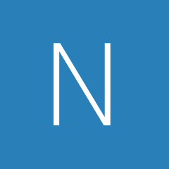 NetWin Logo
