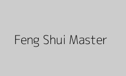 Feng Shui Master