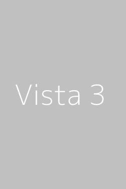Modelo Vista 3