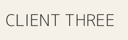 Client Company Three logo