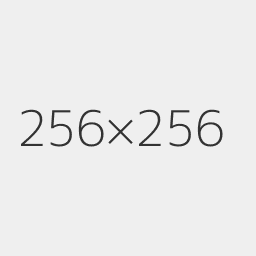 256x256