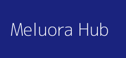 Meluora Hub logo placeholder