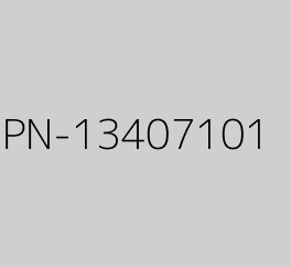 PN-13407101