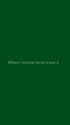 Tampilan Antarmuka Aplikasi 456win Tutorial Server Linux - 2