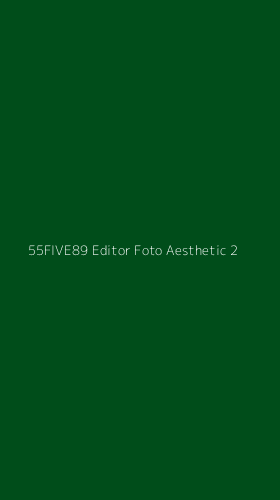 Tampilan Antarmuka Aplikasi 55five89 Editor Foto Aesthetic - 2