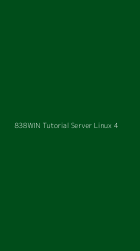 Tampilan Antarmuka Aplikasi 838win Tutorial Server Linux - 4