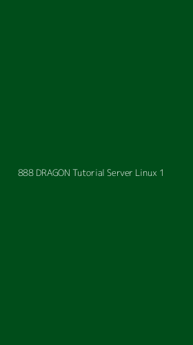 Tampilan Antarmuka Aplikasi 888 Dragon Tutorial Server Linux - 1