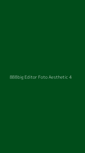 Tampilan Antarmuka Aplikasi 888big Editor Foto Aesthetic - 4