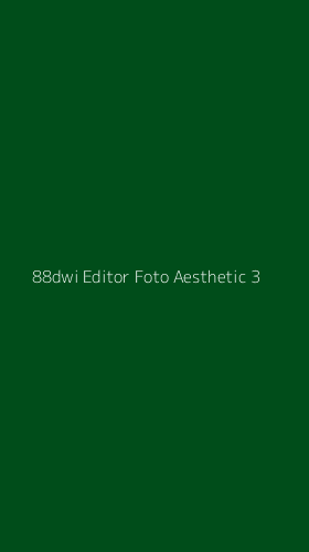 Tampilan Antarmuka Aplikasi 88dwi Editor Foto Aesthetic - 3