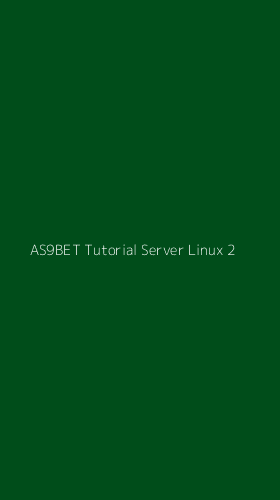 Tampilan Antarmuka Aplikasi As9bet Tutorial Server Linux - 2