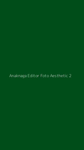 Tampilan Antarmuka Aplikasi Anaknaga Editor Foto Aesthetic - 2