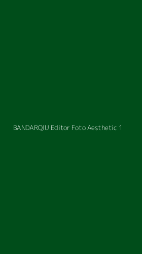Tampilan Antarmuka Aplikasi Bandarqiu Editor Foto Aesthetic - 1