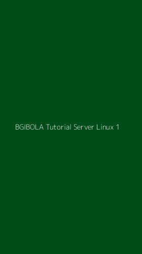 Tampilan Antarmuka Aplikasi Bgibola Tutorial Server Linux - 1