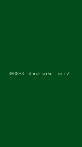Tampilan Antarmuka Aplikasi Bro888 Tutorial Server Linux - 2