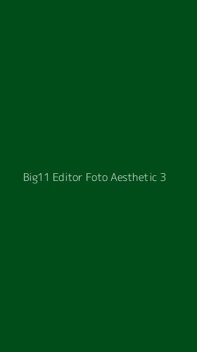 Tampilan Antarmuka Aplikasi Big11 Editor Foto Aesthetic - 3
