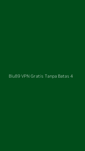 Tampilan Antarmuka Aplikasi Blu89 Vpn Gratis Tanpa Batas - 4