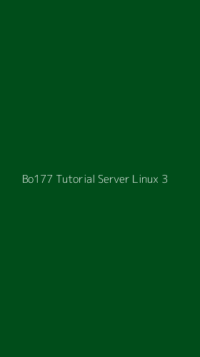 Tampilan Antarmuka Aplikasi Bo177 Tutorial Server Linux - 3