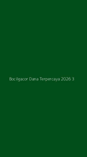 Tampilan Antarmuka Aplikasi Bocilgacor Dana Terpercaya 2026 - 3