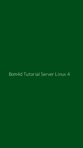 Tampilan Antarmuka Aplikasi Bom4d Tutorial Server Linux - 4